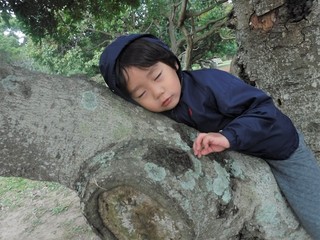 DSCF7946.jpg