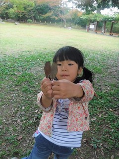 DSCF7950.jpg