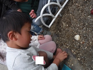 DSCF7995.jpg