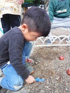 DSCF8002.jpg