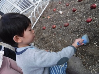 DSCF8006.jpg