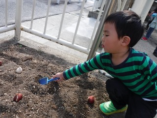 DSCF8014.jpg