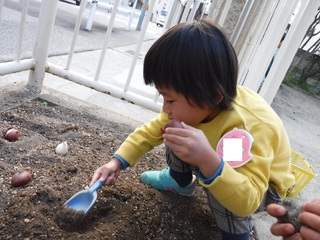 DSCF8017.jpg