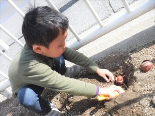 DSCF8032.jpg