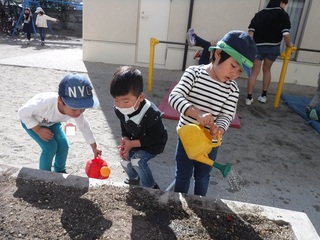 DSCF8076.jpg