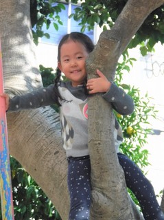 DSCF8098.jpg