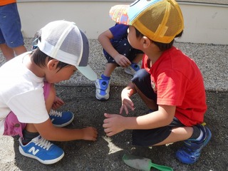 DSCF8109.jpg