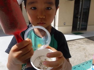 DSCF8111.jpg