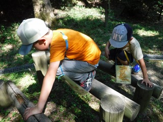 DSCF8175.jpg