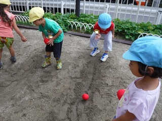 DSCF8195.jpg