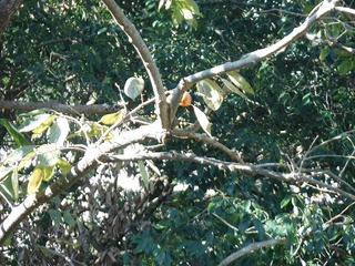 DSCF8217.jpg