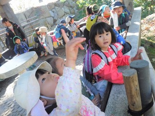 DSCF8220.jpg