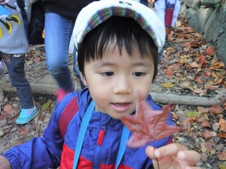 DSCF8225.jpg
