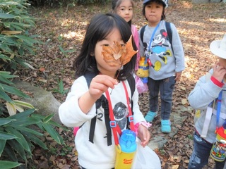 DSCF8226.jpg