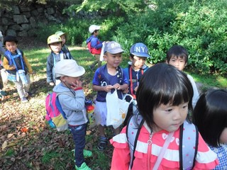 DSCF8227.jpg