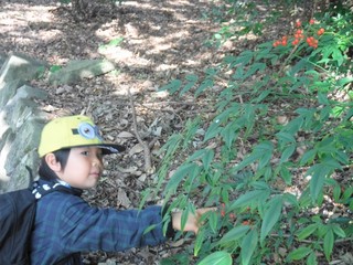 DSCF8234.jpg