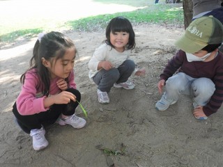 DSCF8256.jpg