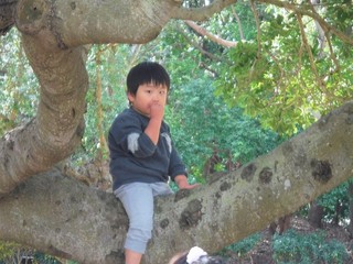 DSCF8272.jpg