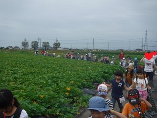 DSCF8362.jpg