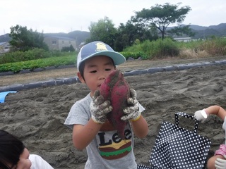 DSCF8379.jpg