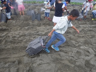 DSCF8398.jpg