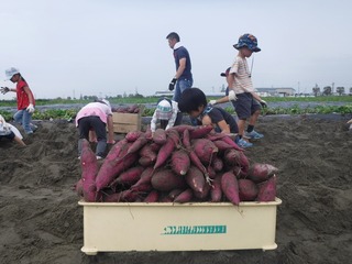 DSCF8404.jpg