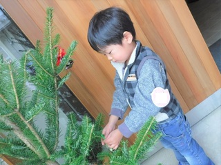 DSCF8425.jpg