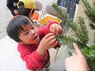 DSCF8434.jpg