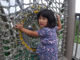 DSCF8442.jpg