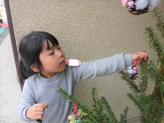 DSCF8448.jpg