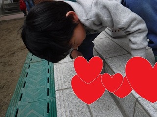 DSCF8533.jpg
