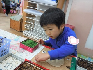DSCF8662.jpg
