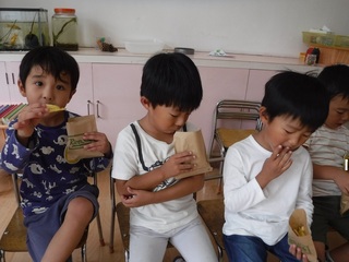 DSCF8826.jpg