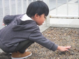 DSCF8903.jpg