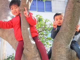 DSCF8950.jpg