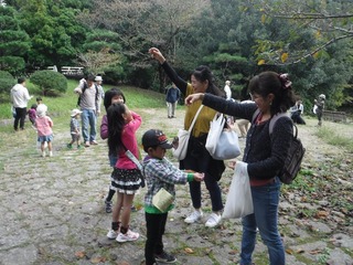 DSCF9061.jpg