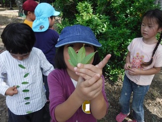 DSCF9217.jpg