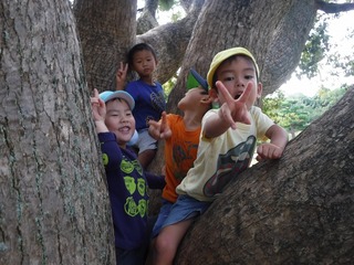 DSCF9228.jpg