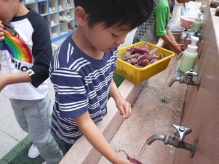DSCF9228.jpg