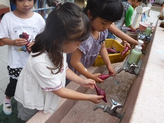 DSCF9229.jpg