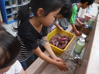 DSCF9230.jpg