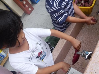 DSCF9231.jpg