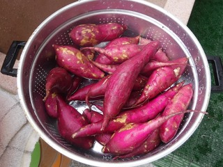 DSCF9232.jpg