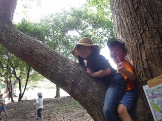 DSCF9245.jpg