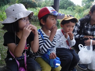 DSCF9250.jpg