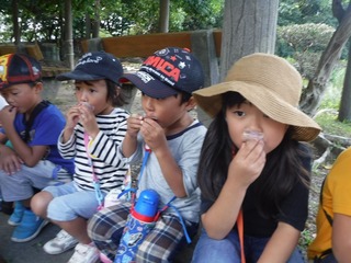 DSCF9252.jpg