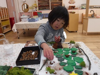 DSCF9491.jpg