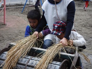 DSCF9647.jpg