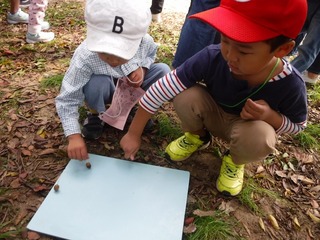 DSCF9708.jpg