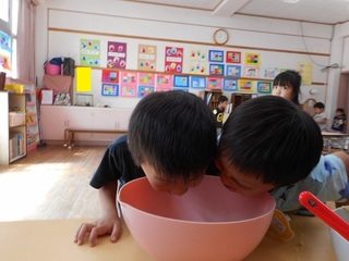 DSCN0206.jpg